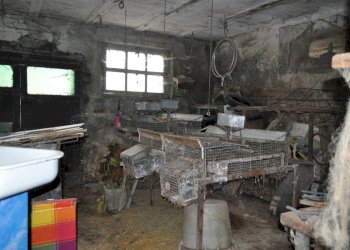 DSC_0031.JPG - Rustico Strada Colmignola 2, San Secondo Parmense - foto 16