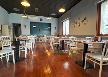 IMG_E3907.JPG - Restaurant Via La Spezia 32, Collecchio - photo 1