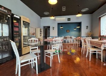 IMG_E3908.JPG - Restaurant Via La Spezia 32, Collecchio - photo 2