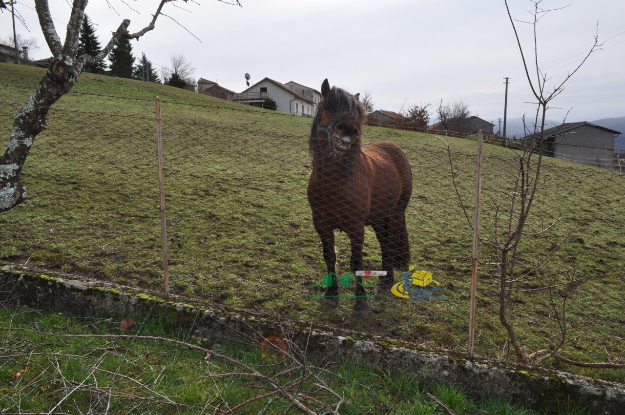 DSC_0161.JPG - Villa Grezzo, Bardi - foto 2