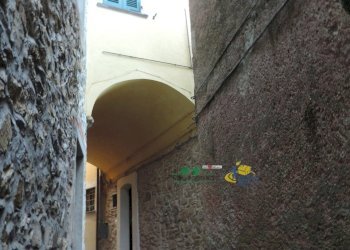 DSCN7324.JPG - Villa VELVA, Castiglione Chiavarese - foto 2