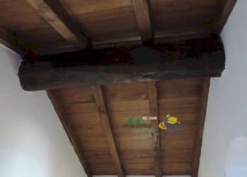 DSCN7349.JPG - Villa VELVA, Castiglione Chiavarese - foto 24