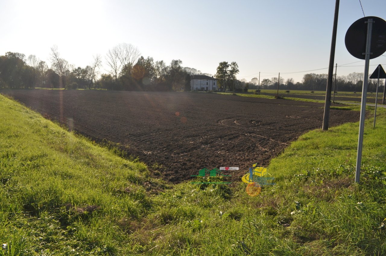 DSC_0106.JPG - Agricultural land via SAN ROCCO snc, Parma - photo 2