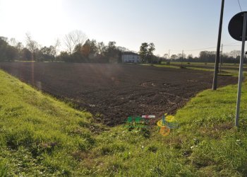 DSC_0106.JPG - Terreno agricolo via SAN ROCCO snc, Parma - foto 2