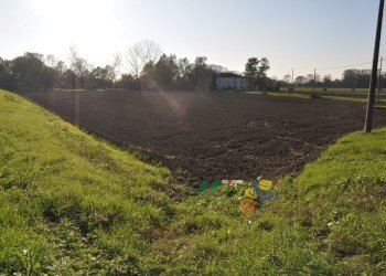 DSC_0107.JPG - Terreno agricolo via SAN ROCCO snc, Parma - foto 3