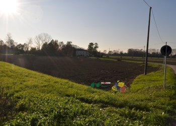 DSC_0108.JPG - Terreno agricolo via SAN ROCCO snc, Parma - foto 4