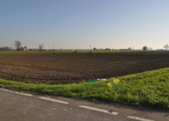 DSC_0110.JPG - Terreno agricolo via SAN ROCCO snc, Parma - foto 5