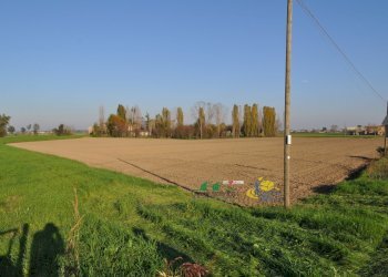 DSC_0115.JPG - Terreno agricolo via SAN ROCCO snc, Parma - foto 10
