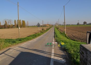DSC_0116.JPG - Terreno agricolo via SAN ROCCO snc, Parma - foto 11