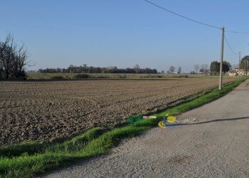 DSC_0119.JPG - Terreno agricolo via SAN ROCCO snc, Parma - foto 12