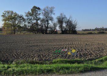 DSC_0120.JPG - Terreno agricolo via SAN ROCCO snc, Parma - foto 13
