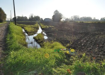 DSC_0123.JPG - Terreno agricolo via SAN ROCCO snc, Parma - foto 14