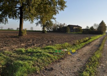 DSC_0125.JPG - Terreno agricolo via SAN ROCCO snc, Parma - foto 16