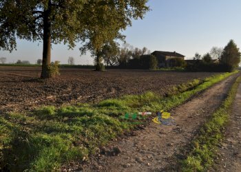 DSC_0126.JPG - Terreno agricolo via SAN ROCCO snc, Parma - foto 17