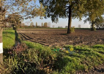 DSC_0127.JPG - Terreno agricolo via SAN ROCCO snc, Parma - foto 18
