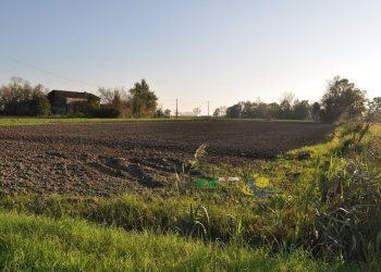 DSC_0128.JPG - Terreno agricolo via SAN ROCCO snc, Parma - foto 19