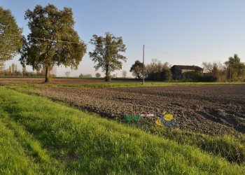 DSC_0129.JPG - Terreno agricolo via SAN ROCCO snc, Parma - foto 20