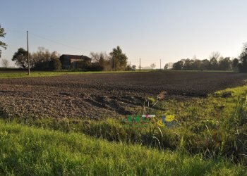DSC_0130.JPG - Terreno agricolo via SAN ROCCO snc, Parma - foto 21