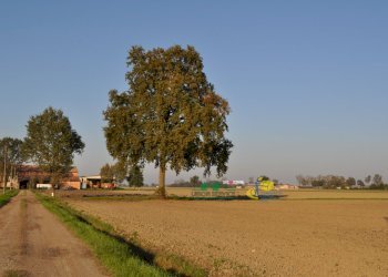 DSC_0131.JPG - Terreno agricolo via SAN ROCCO snc, Parma - foto 22