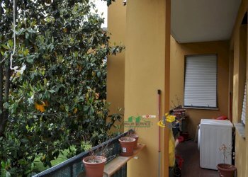 DSC_0031.JPG - Trilocale SANT'ANDREA BAGNI, Medesano - foto 30