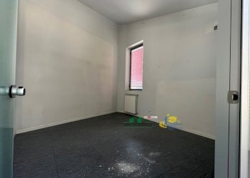 IMG_E2209.JPG - Ufficio Viale Libertà 5, Collecchio - foto 12