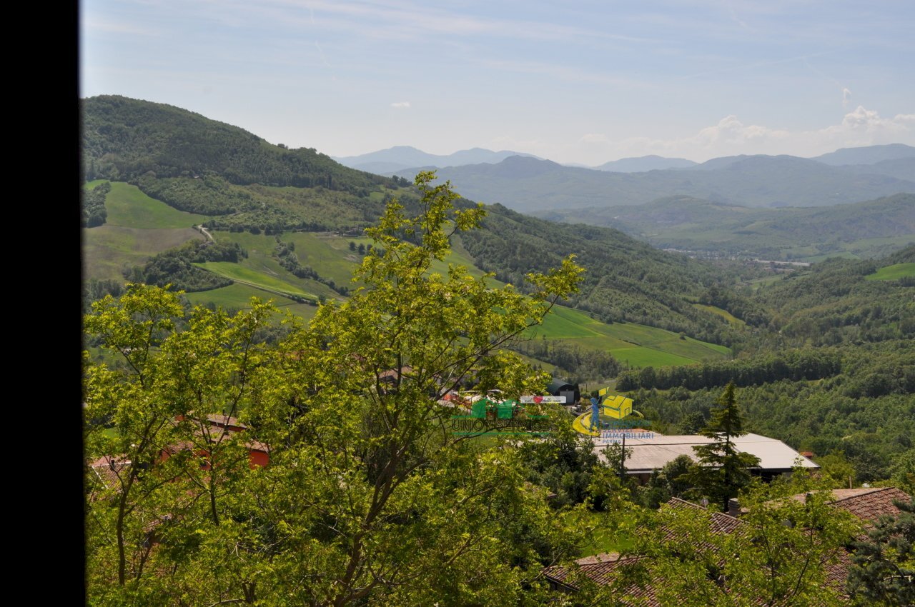 DSC_0039.JPG - Porzione di casa Montesalso, Varano de' Melegari - foto 2