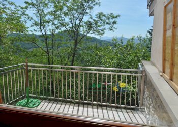 DSC_0026.JPG - Porzione di casa Montesalso, Varano de' Melegari - foto 13