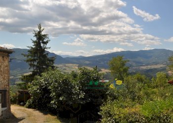 DSC_0096.JPG - Terratetto - Terracielo Località Antreoli 3, Neviano degli Arduini - foto 7