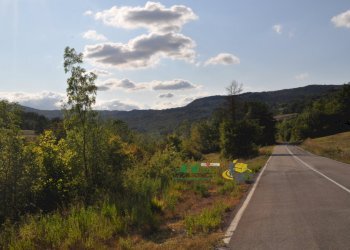 DSC_0086.JPG - Terratetto - Terracielo Località Antreoli 3, Neviano degli Arduini - foto 9