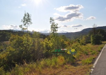 DSC_0087.JPG - Terratetto - Terracielo Località Antreoli 3, Neviano degli Arduini - foto 10