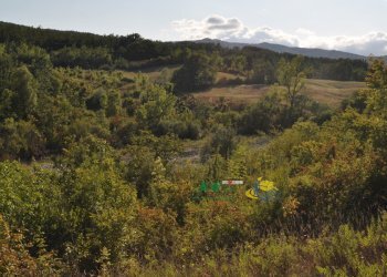 DSC_0089.JPG - Terratetto - Terracielo Località Antreoli 3, Neviano degli Arduini - foto 12