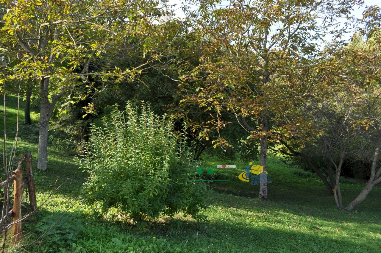 DSC_0003.JPG - Building land Via Ricò 40, Felino - photo 3