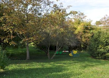 DSC_0002.JPG - Terreno edificabile Via Ricò 40, Felino - foto 2