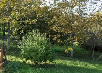 DSC_0003.JPG - Terreno edificabile Via Ricò 40, Felino - foto 3