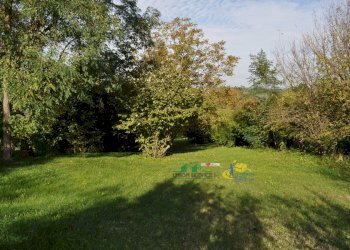 DSC_0005.JPG - Terreno edificabile Via Ricò 40, Felino - foto 5