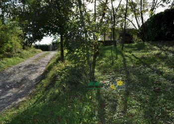 DSC_0009.JPG - Terreno edificabile Via Ricò 40, Felino - foto 11