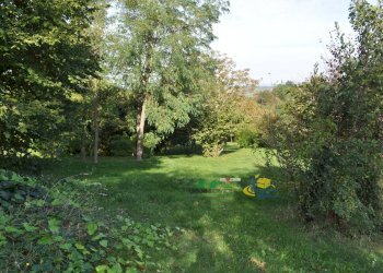 DSC_0010.JPG - Terreno edificabile Via Ricò 40, Felino - foto 12