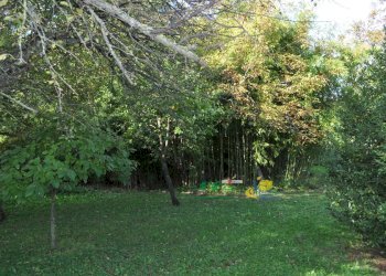 DSC_0013.JPG - Terreno edificabile Via Ricò 40, Felino - foto 13