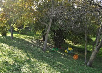DSC_0016.JPG - Terreno edificabile Via Ricò 40, Felino - foto 16