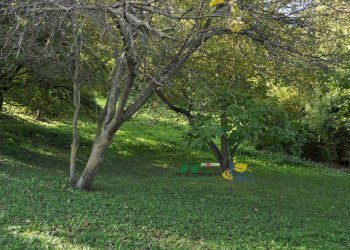 DSC_0017.JPG - Terreno edificabile Via Ricò 40, Felino - foto 17