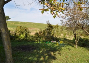 DSC_0019.JPG - Terreno edificabile Via Ricò 40, Felino - foto 19