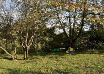DSC_0020.JPG - Terreno edificabile Via Ricò 40, Felino - foto 20