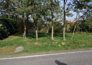 DSC_0021.JPG - Terreno edificabile Via Ricò 40, Felino - foto 21