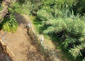 20250626_180414.jpg - Quadrilocale Sarzana - foto 6