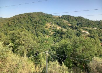 20250626_180955.jpg - Quadrilocale Sarzana - foto 7