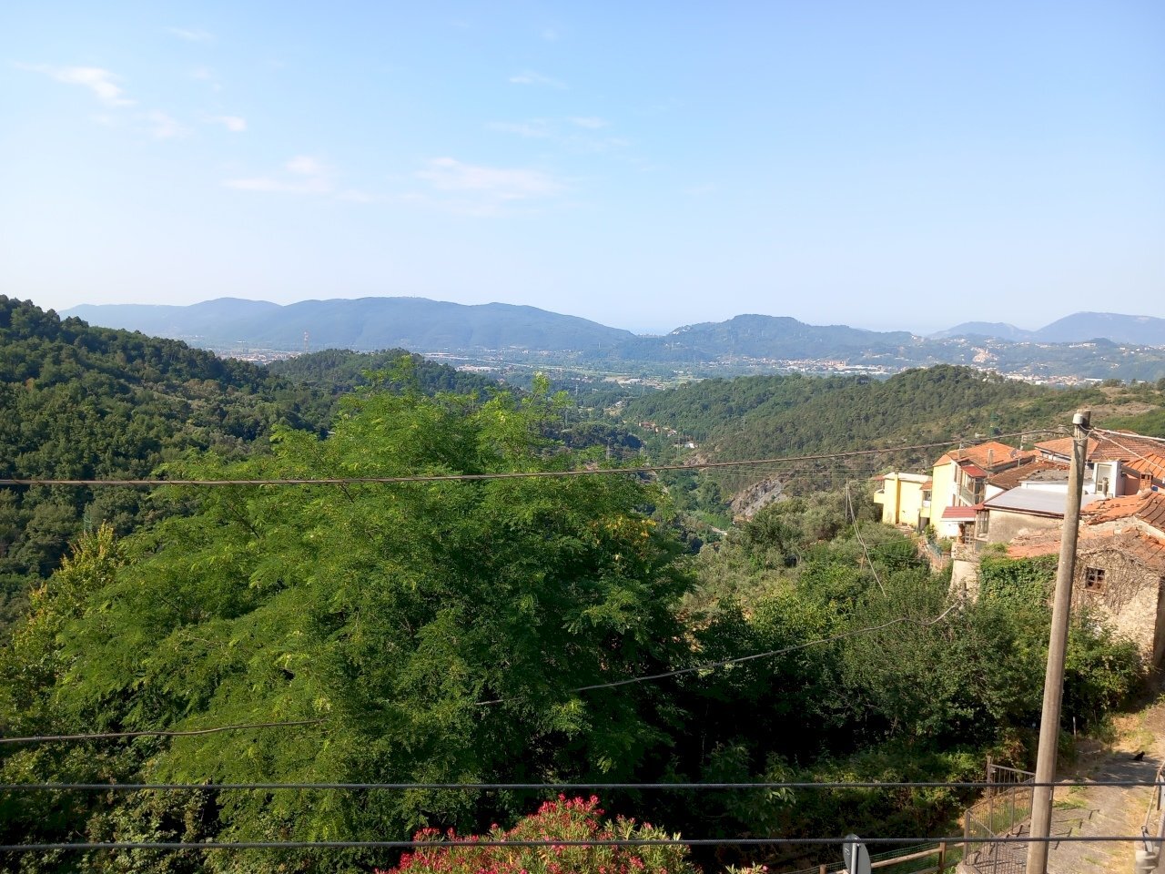 20250620_092408.jpg - Appartamento Sarzana - foto 1