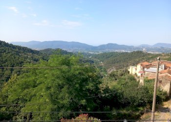 20250620_092408.jpg - Appartamento Sarzana - foto 1