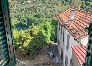 20250620_092635.jpg - Appartamento Sarzana - foto 13