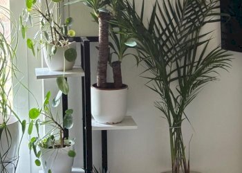 IMG-20250430-WA0038.jpg - Appartamento Sarzana - foto 26