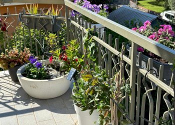 IMG-20250430-WA0043.jpg - Appartamento Sarzana - foto 28